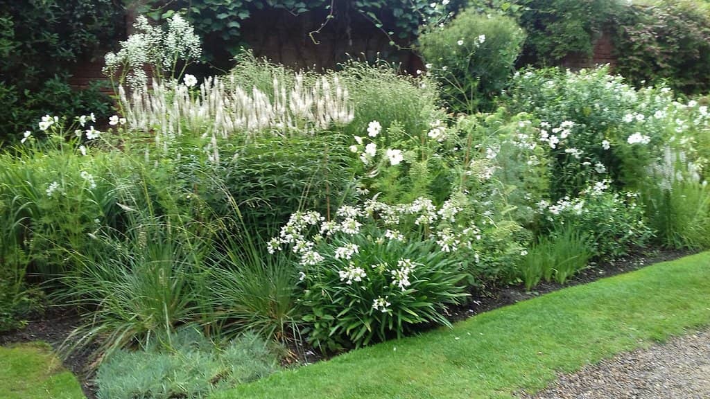 Robert Adam Interiors