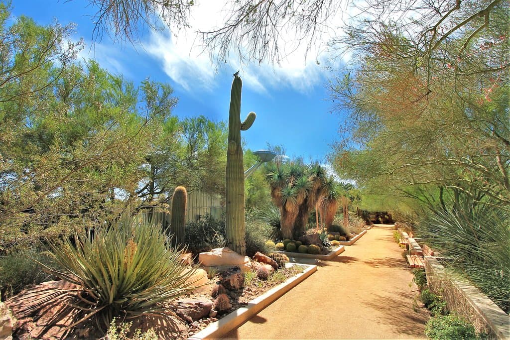 The Springs Preserve Botanical Garden features thousands of Mojave Desert and desert-adapted pla