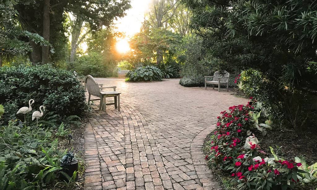Butterfly Garden