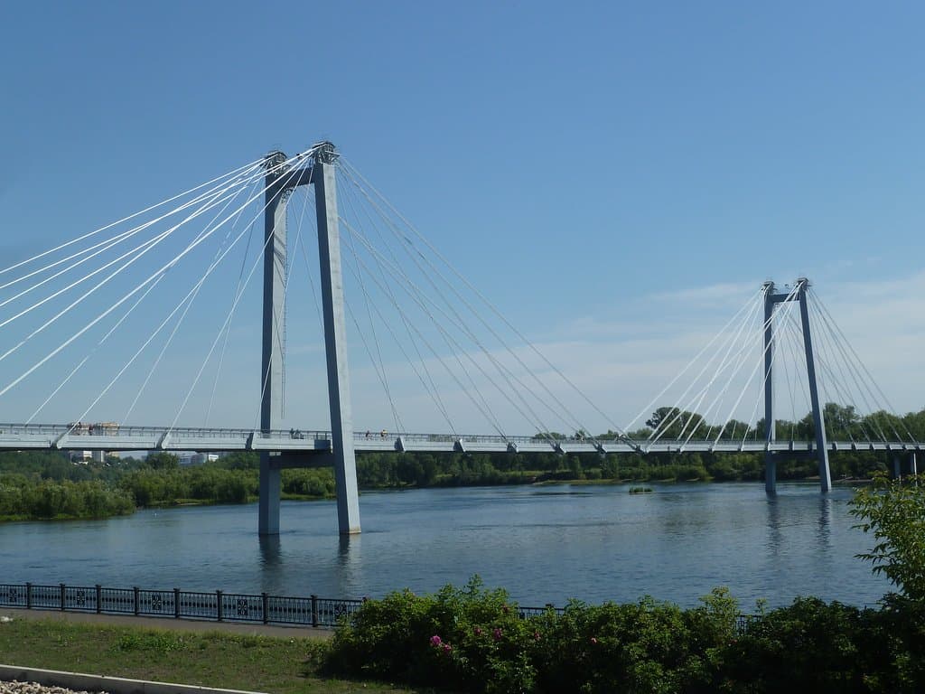 Vinogradovsky Pedestrian Bridge