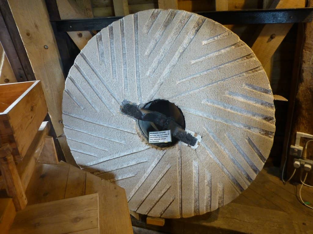 Informative Guided Tours