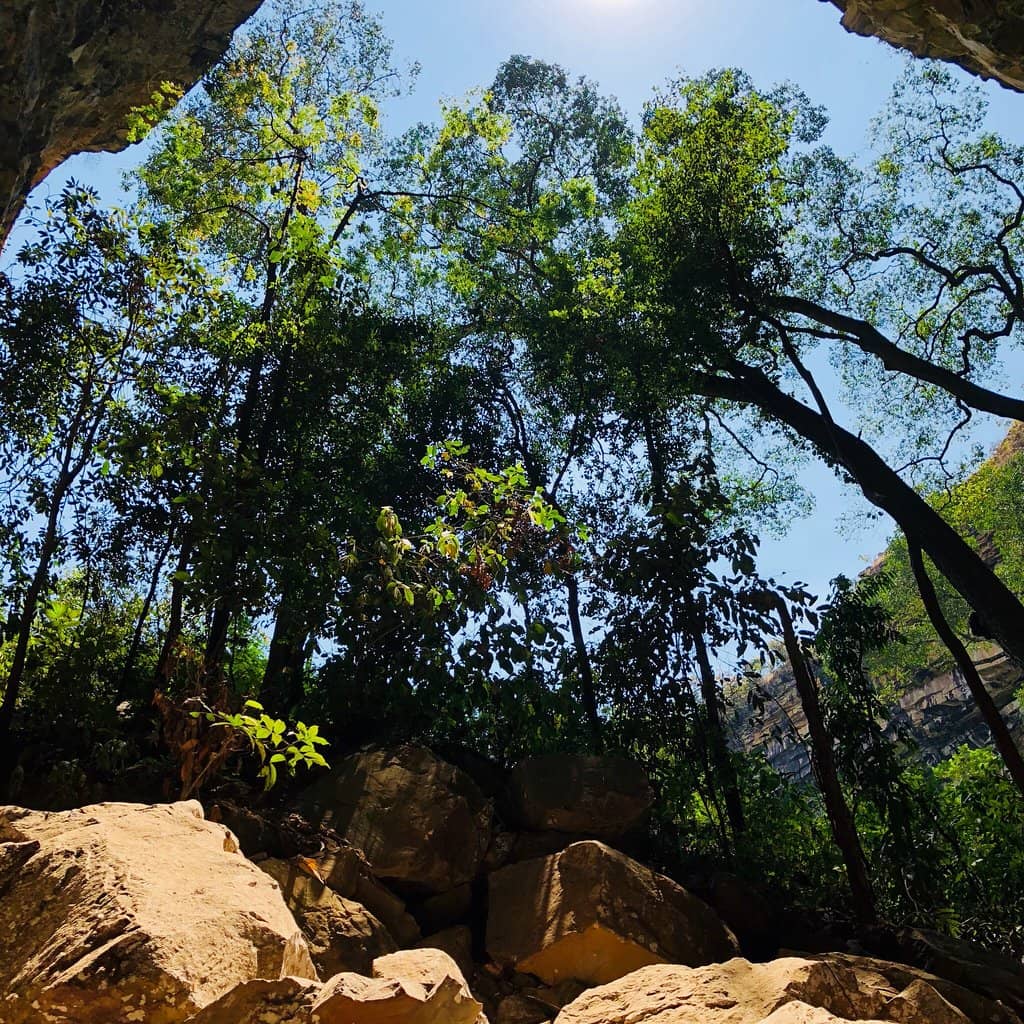 Vertical photo