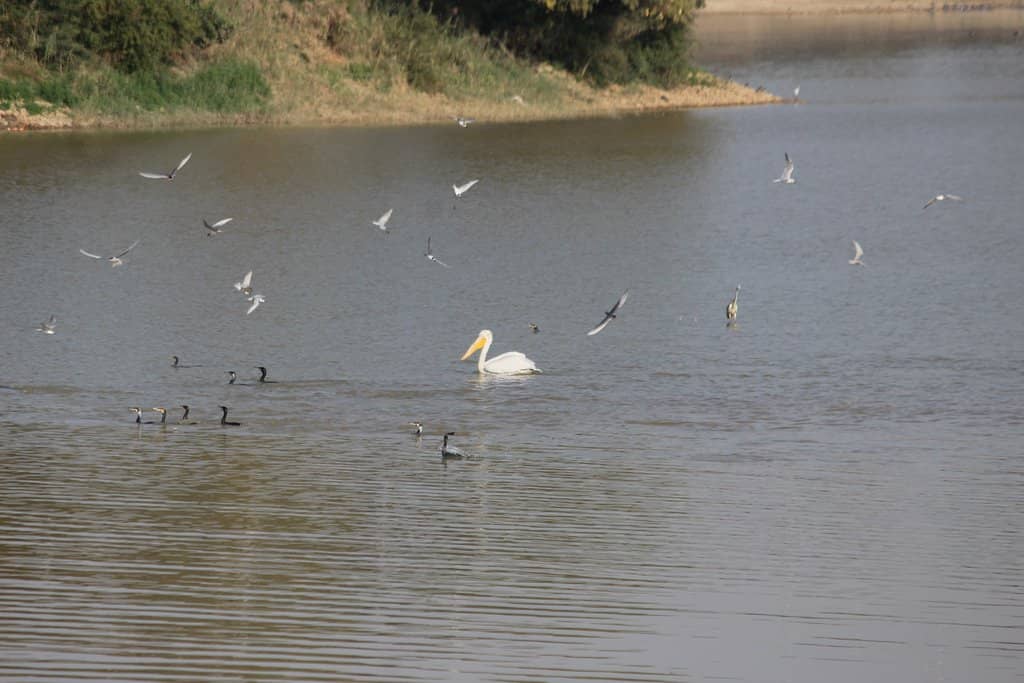 Lakeside Stroll & City Views