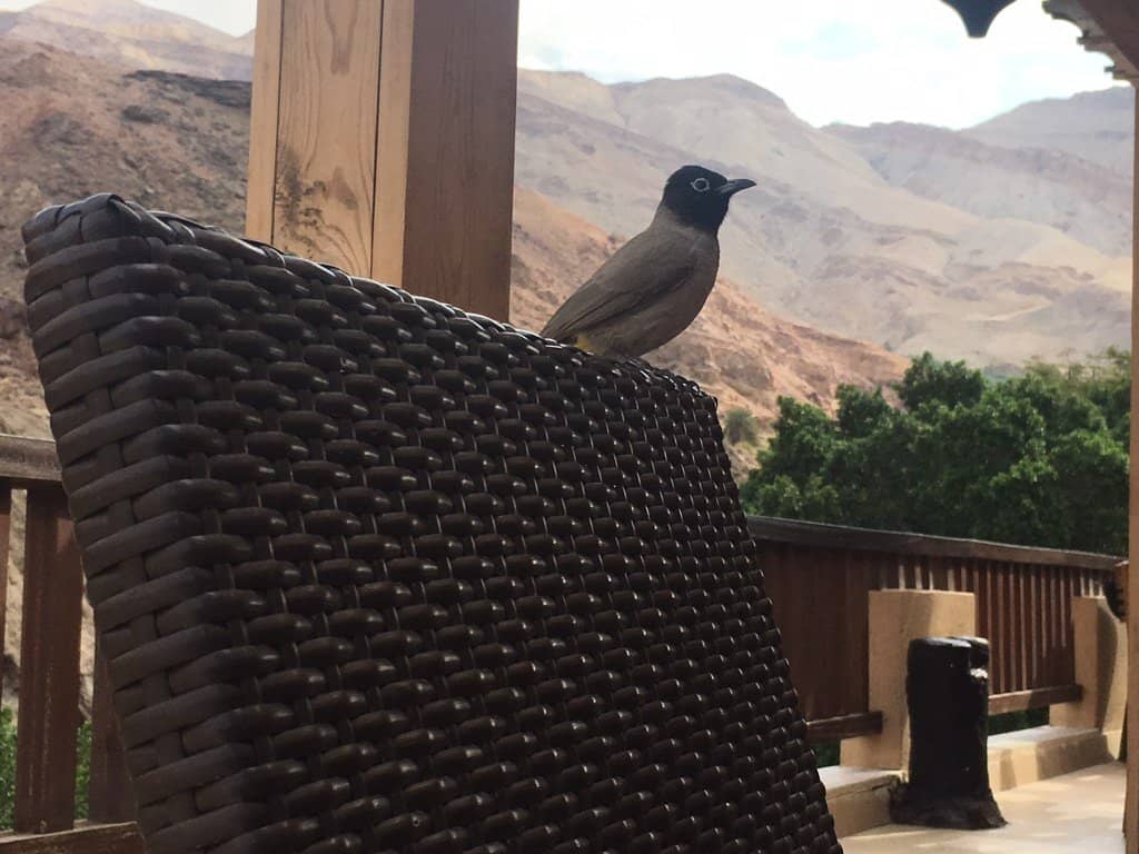 Cascading Hot Waterfalls