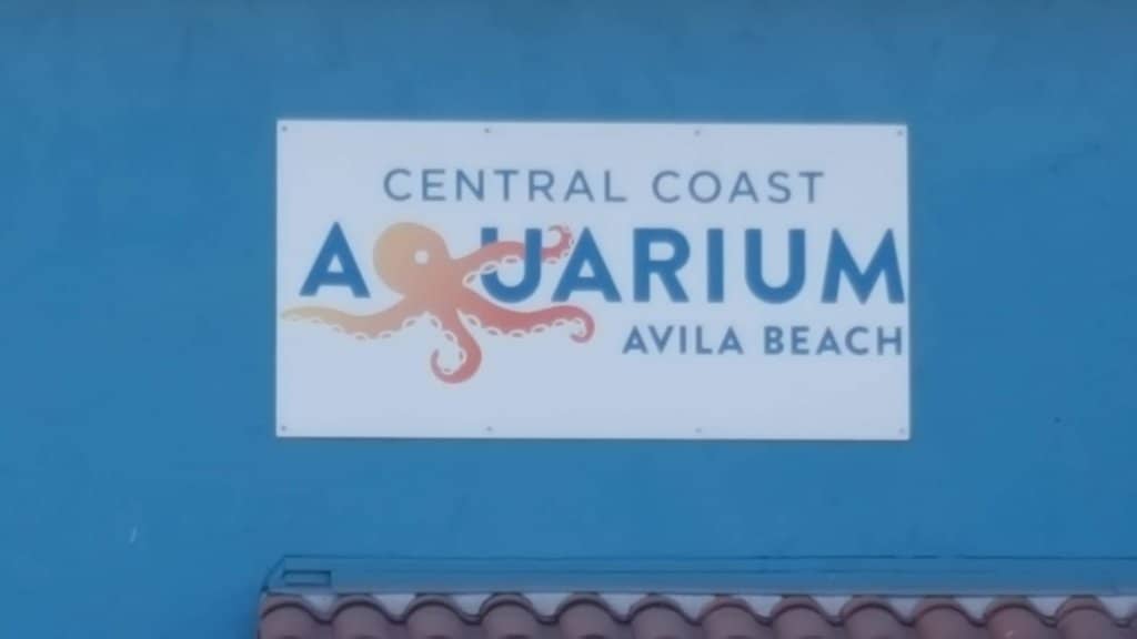 Local Marine Ecosystem Exhibits