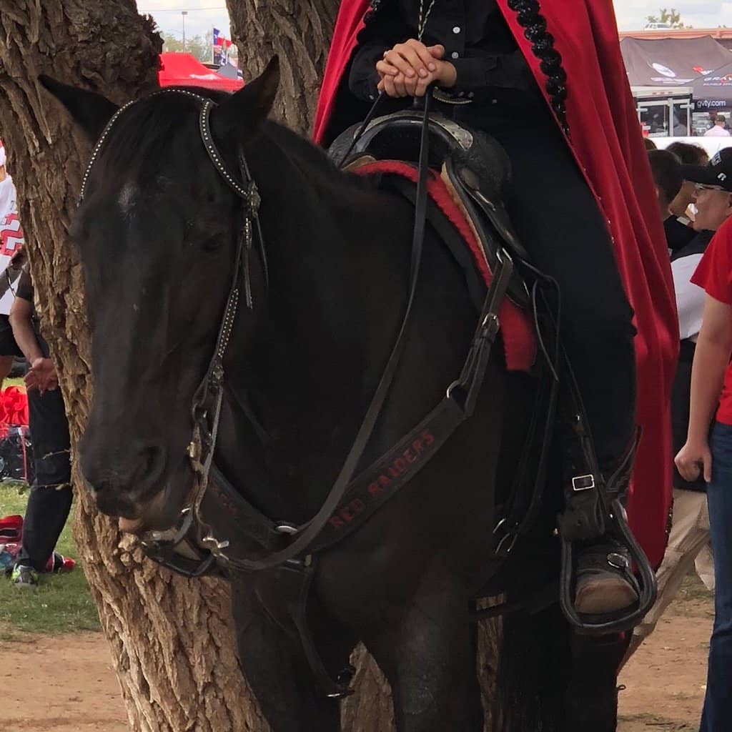 Tortilla Tossing Tradition
