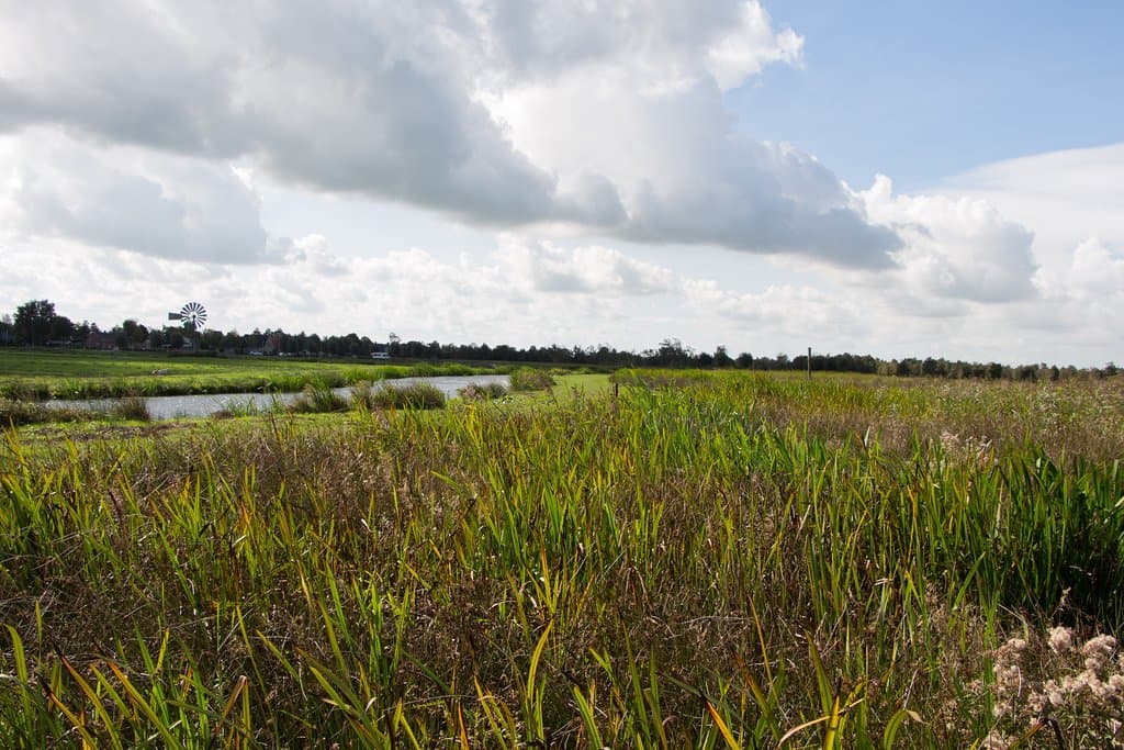 nationaal park