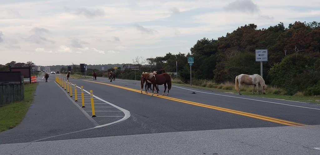 Sunrise & Sunset Views