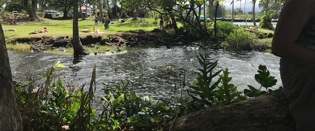 Tide Pool Exploration