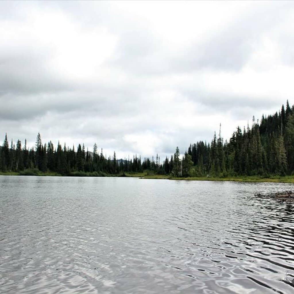 Mowich Lake