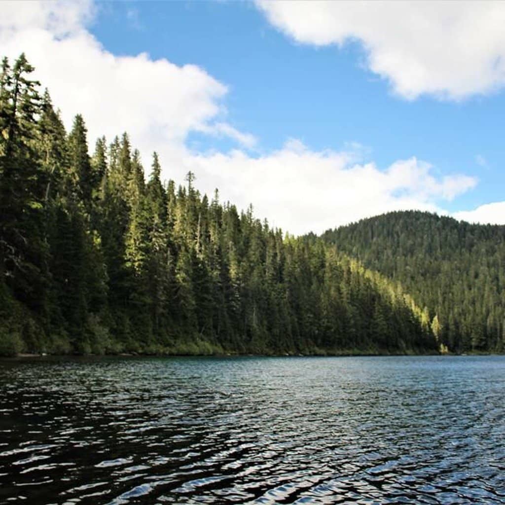 Spray Falls Trail