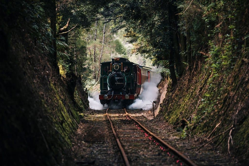 Original steam loco travelling through cool temperate rain forest