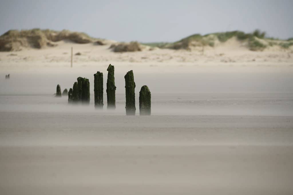 Beach Walk