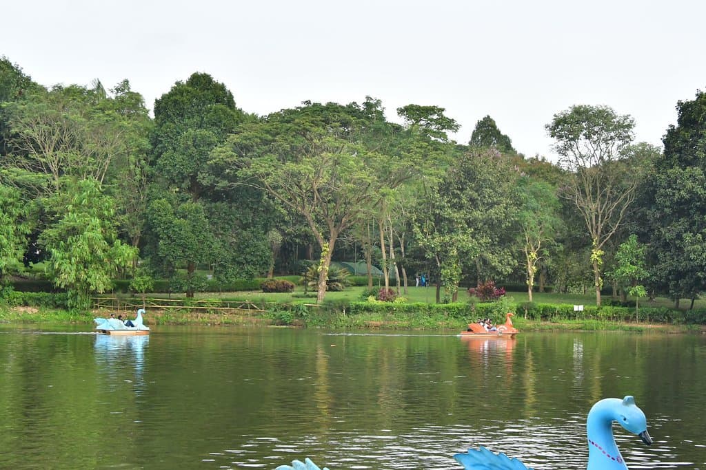 Lake and boats