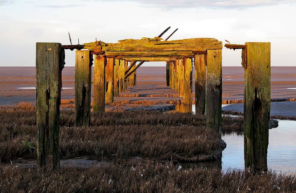 Coastal Walks