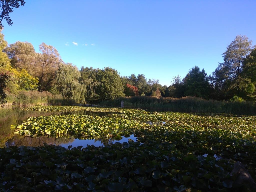 Preety pond