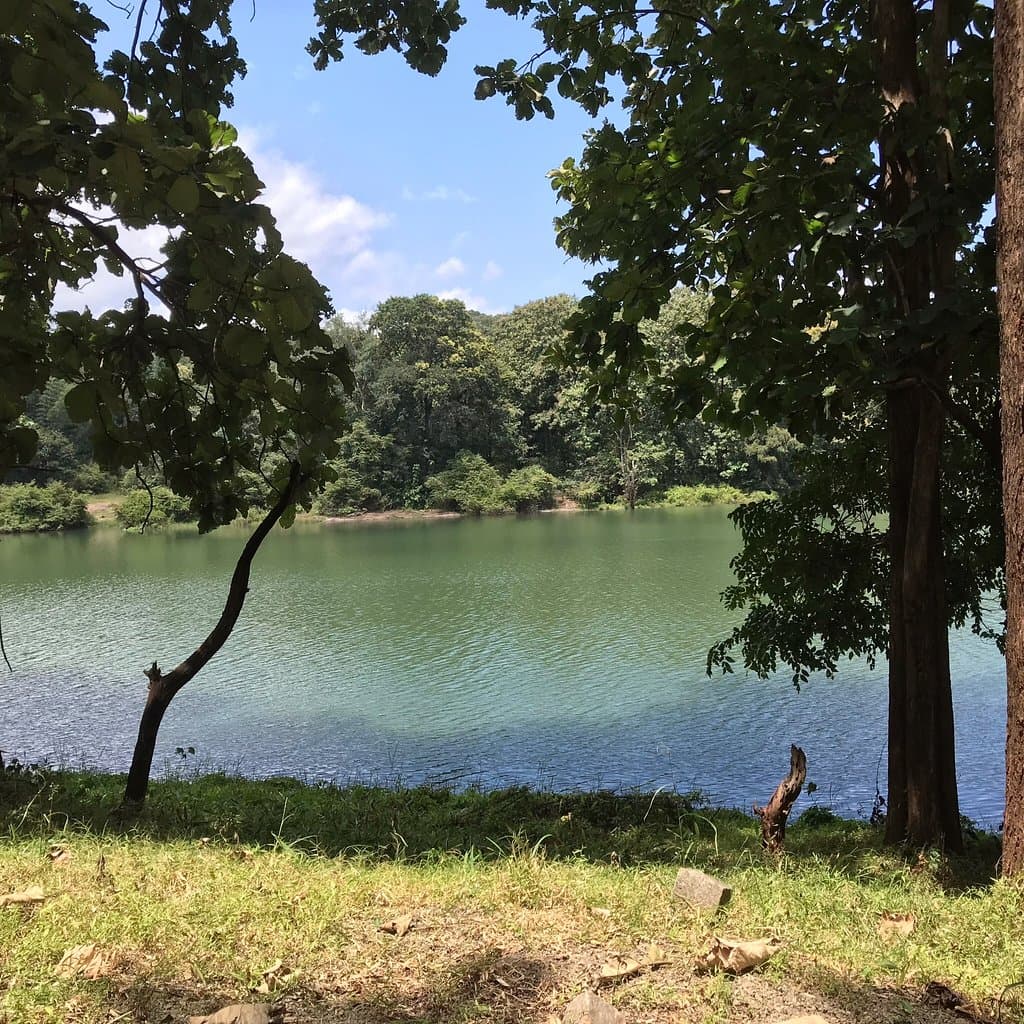 Serene tranquil peaceful experience