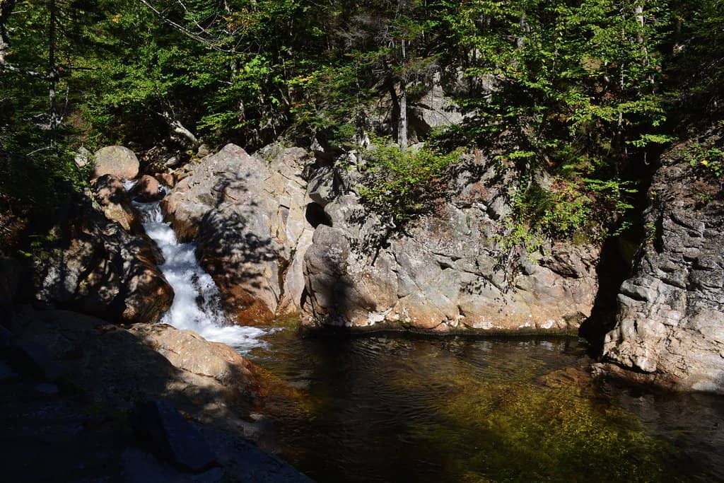 The 64-Foot Plunge