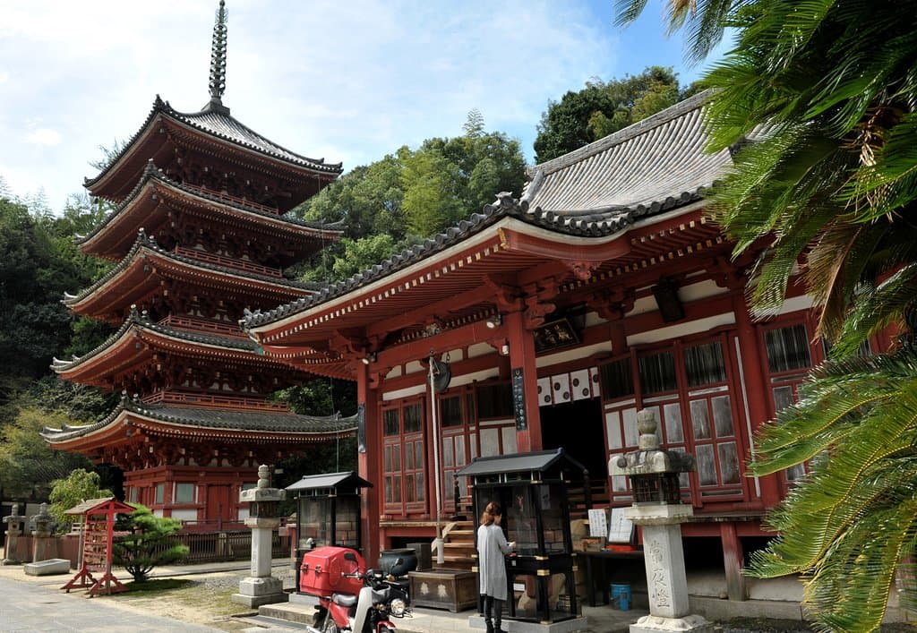 本殿と五重塔。豪華な競演だ