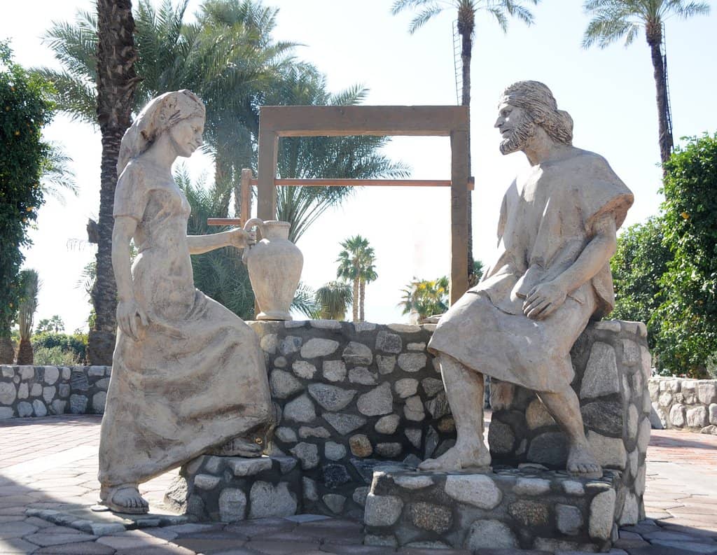 World-Famous Date Shake