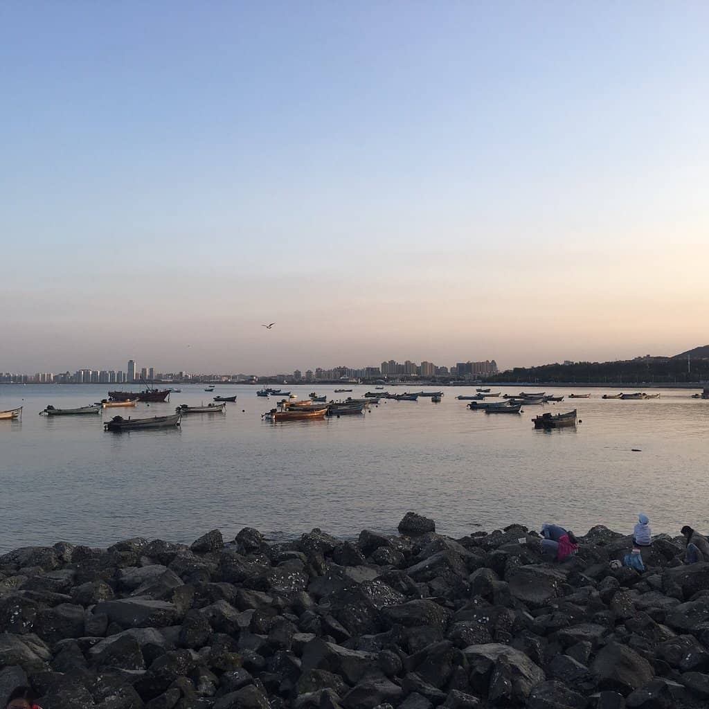 Shark Variety Exhibit