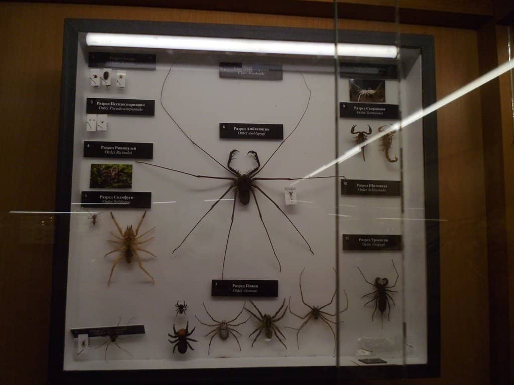 Mankind's History & Conservation