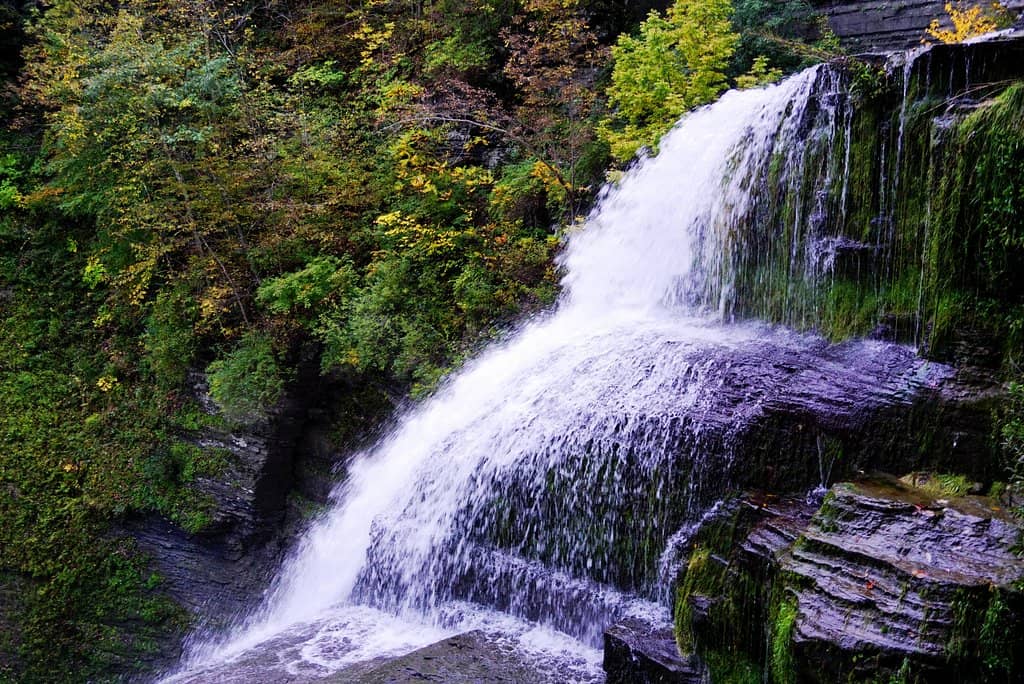 Gorge Trail