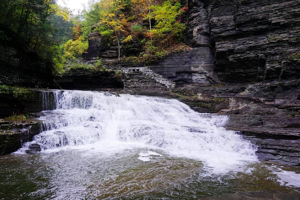 Enfield Falls Swimming Hole