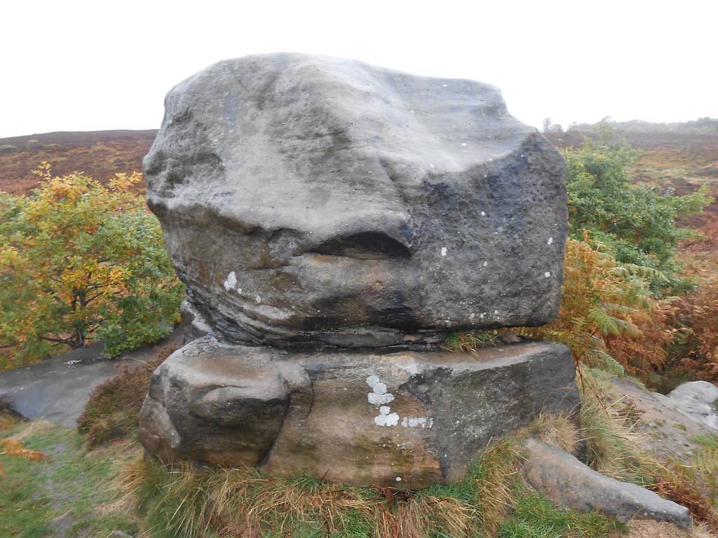 Reclaimed Quarry Woodlands