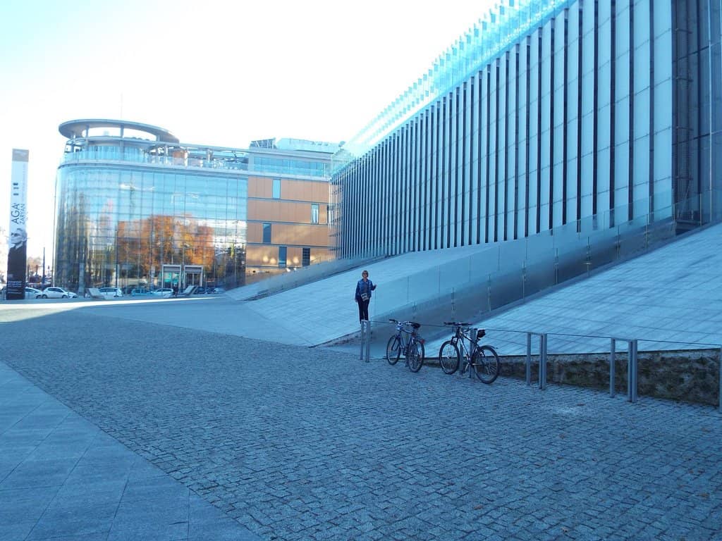 Rooftop Garden & Beehives