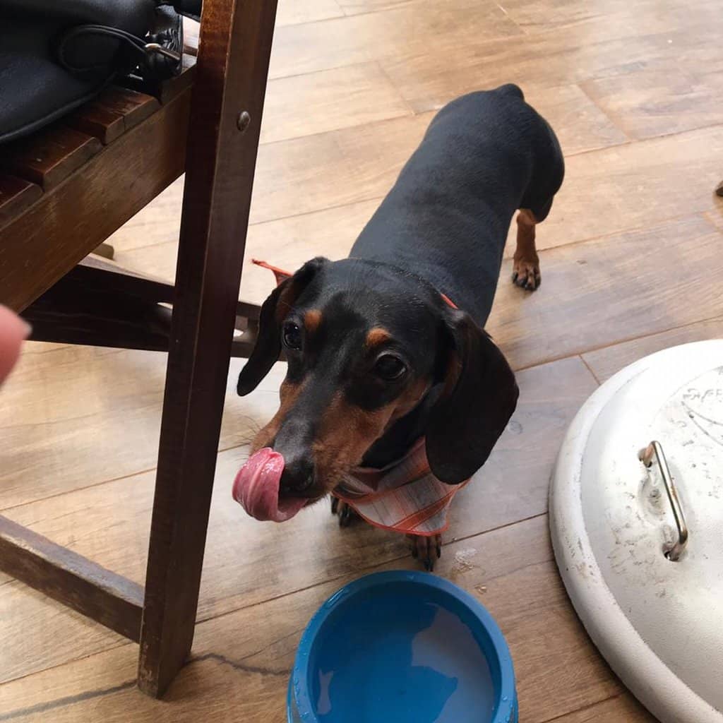 Artisanal Beer Selection