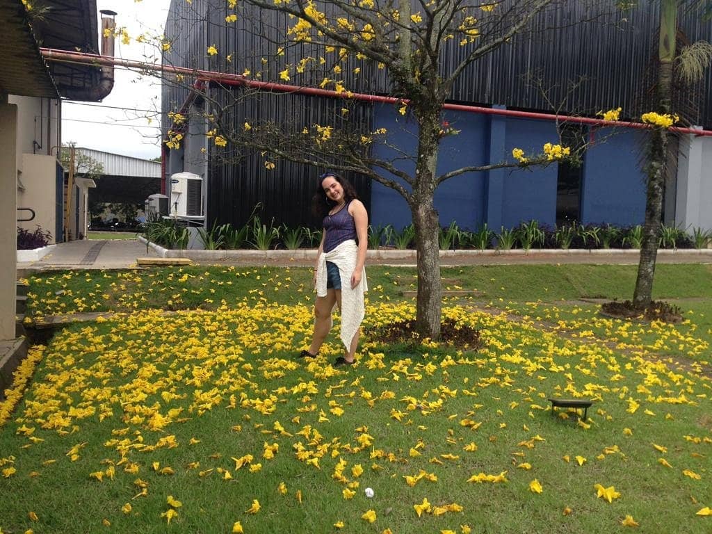 Accessible Walking Trails