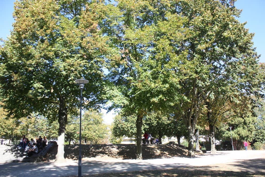 Children's Play Area