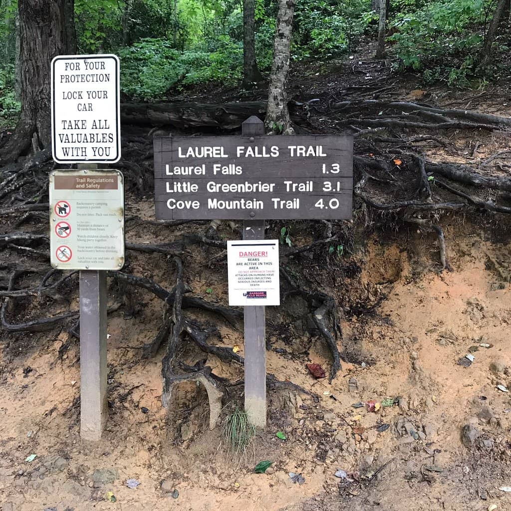 Chapel Falls