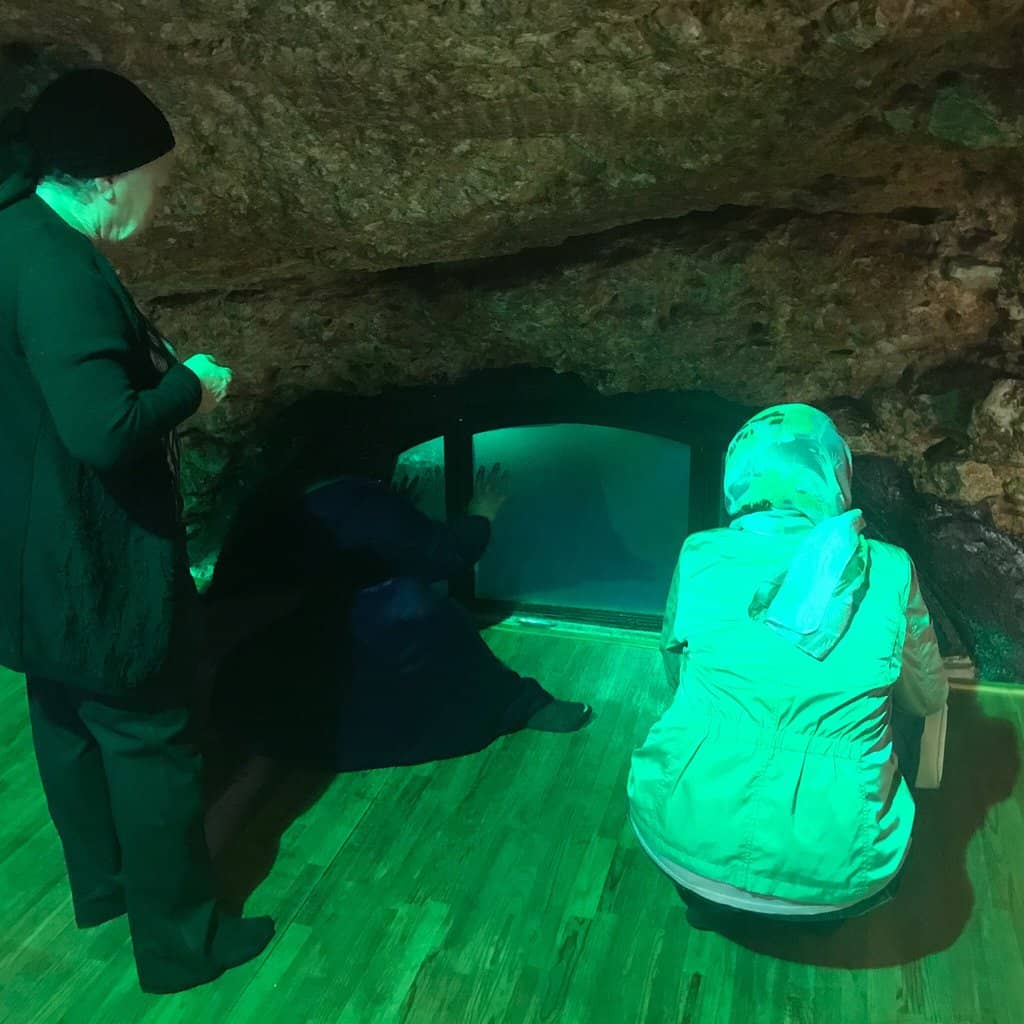 Prophet Ayyub's Cave of Patience