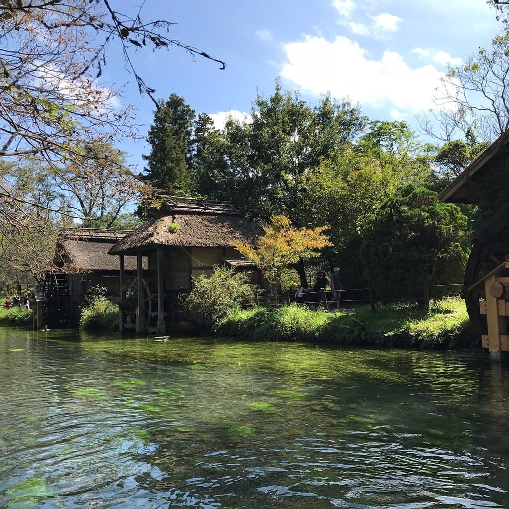 Daio Wasabi Farm Hotaka Japan