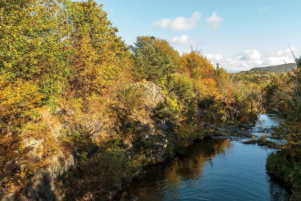 Off-Road Adventure Potential