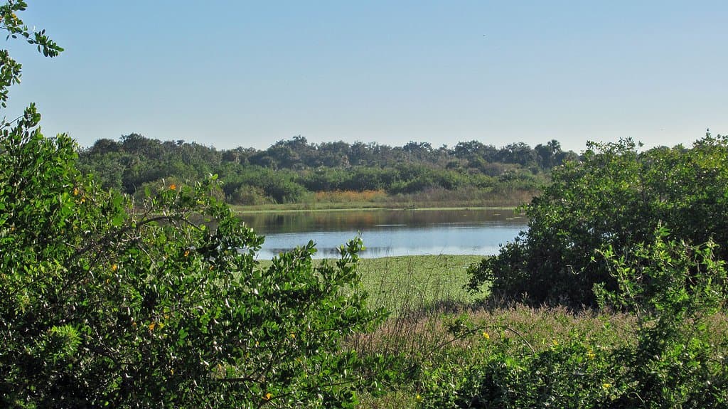 Pond at Charlotte Harbor Preserve