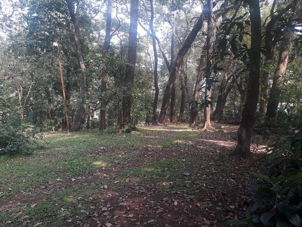 Kids' Play Area