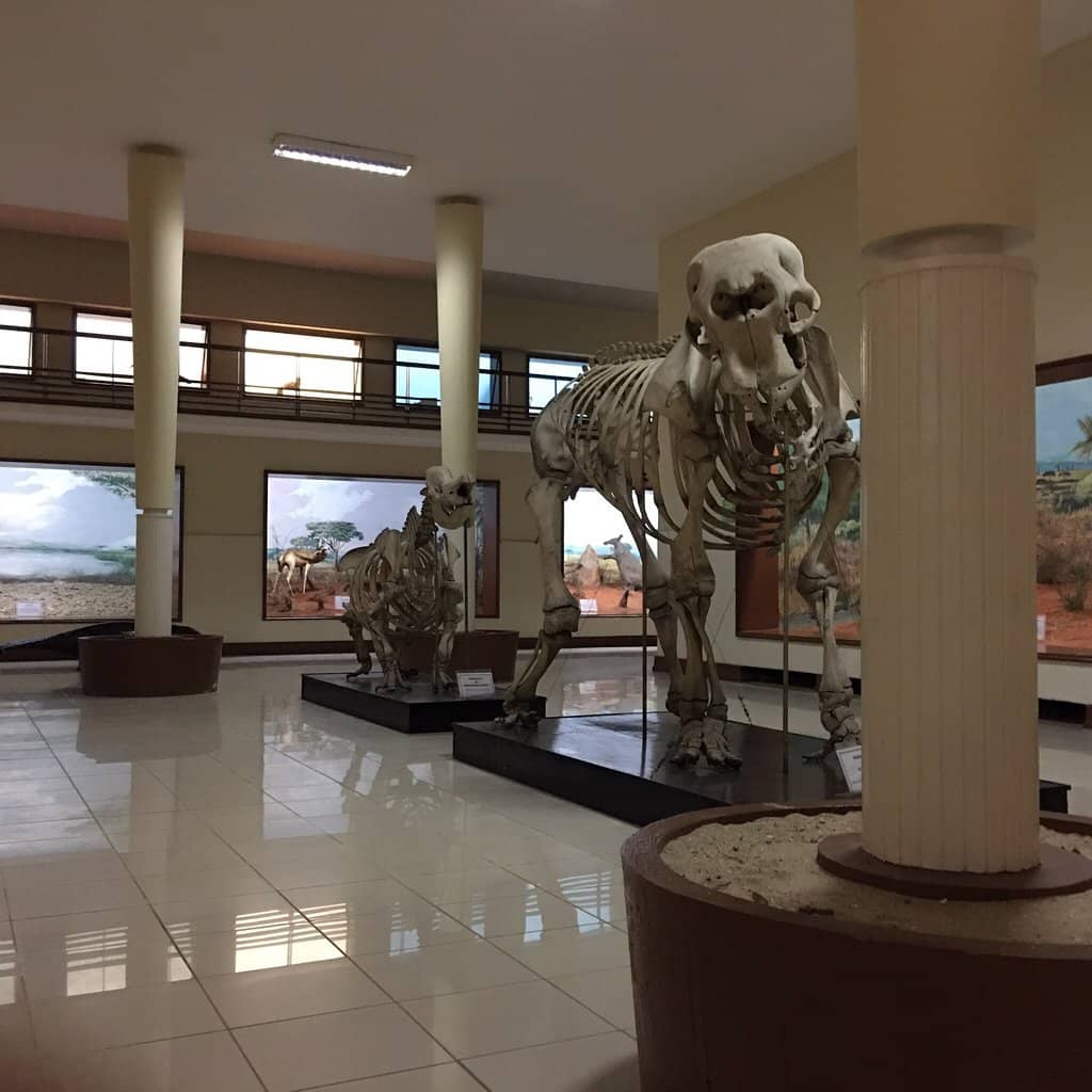 The Giant of Angola Elephant