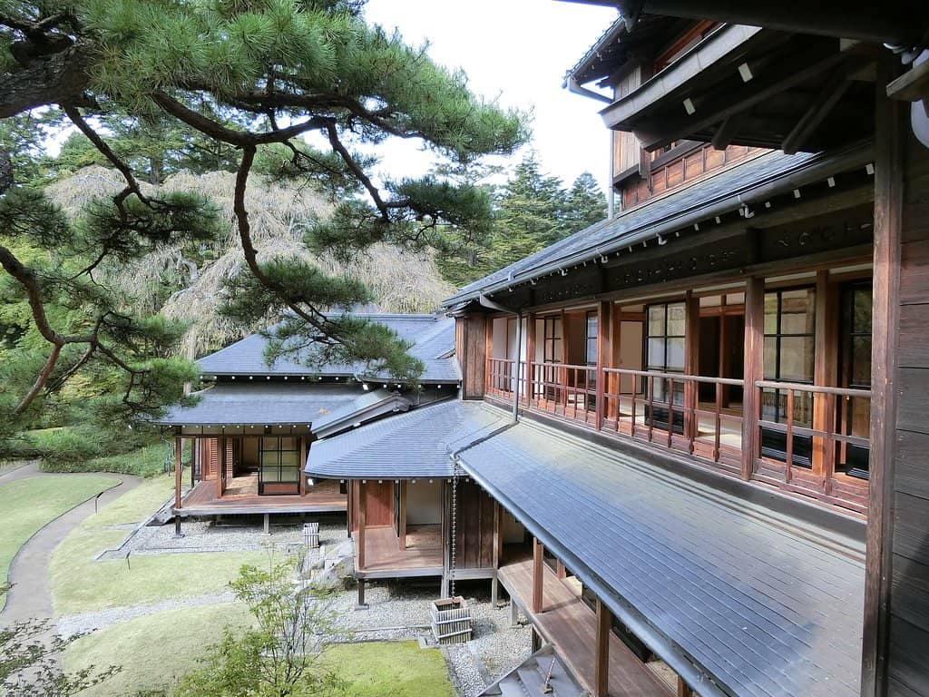 The Ancient Weeping Cherry Tree
