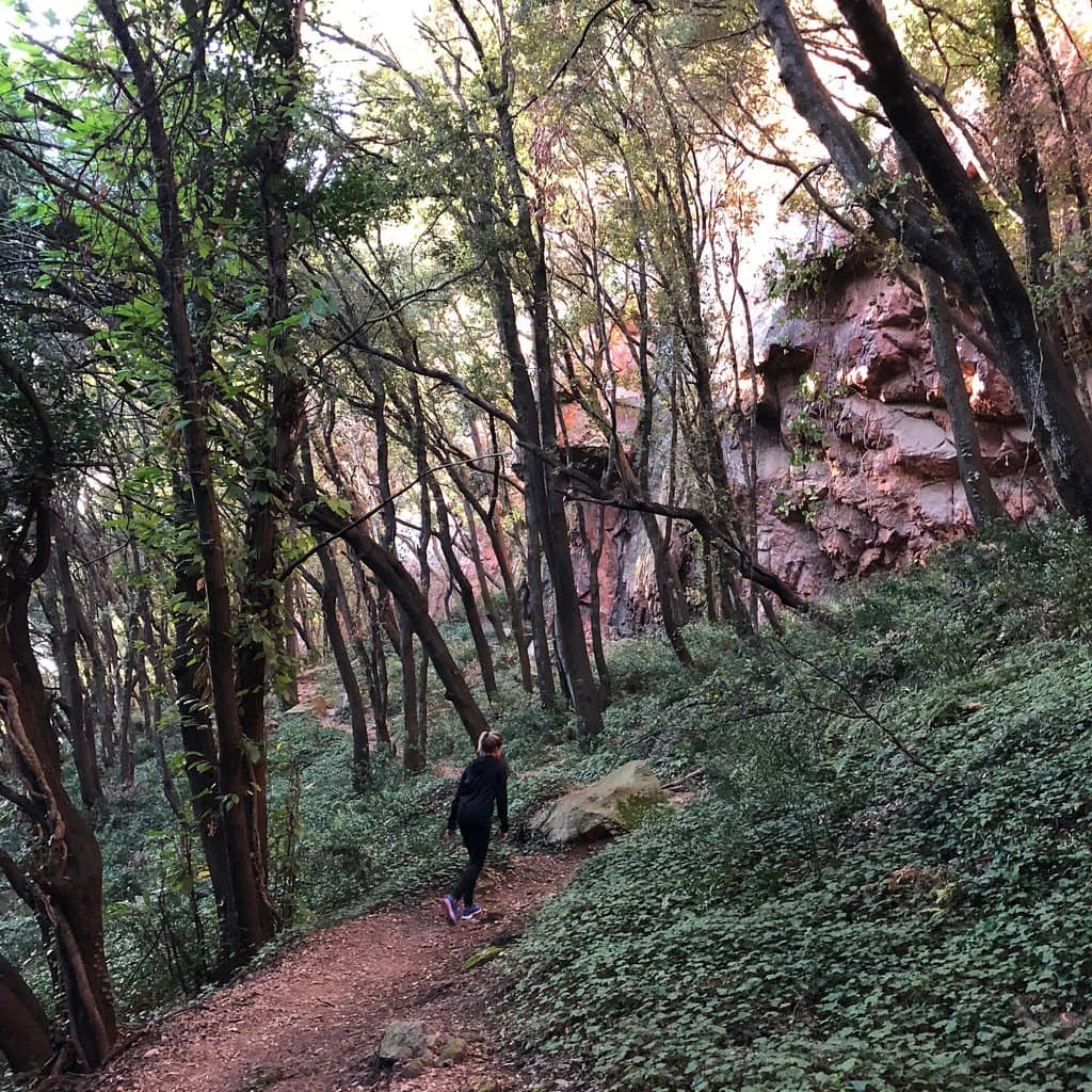 Scenic Hiking Trails