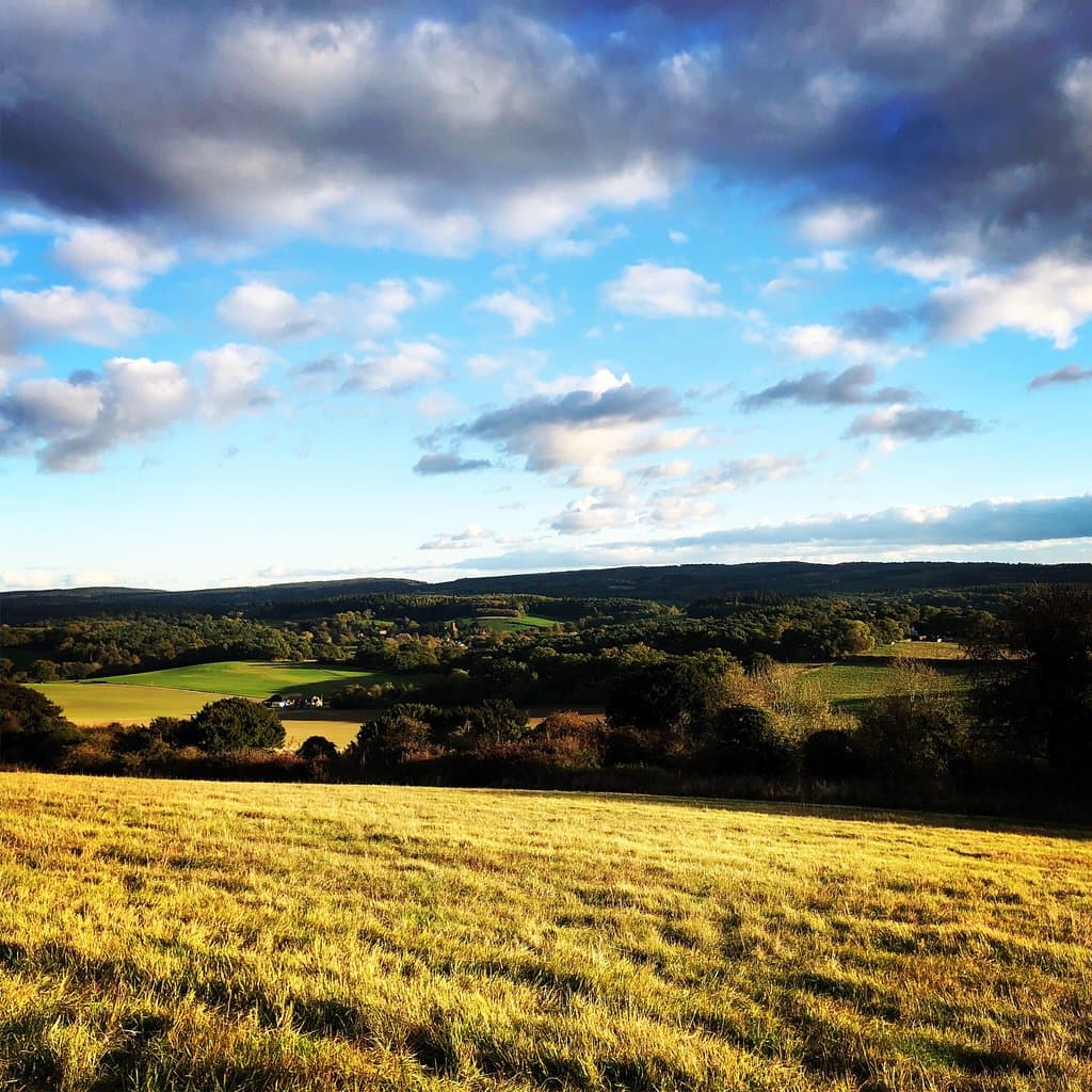 Newlands Corner