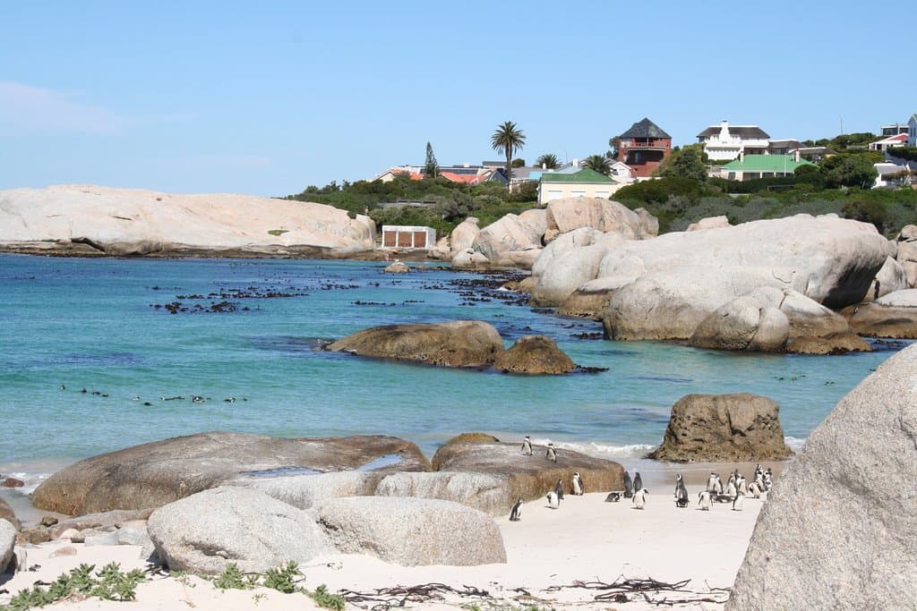 Foxy Beach