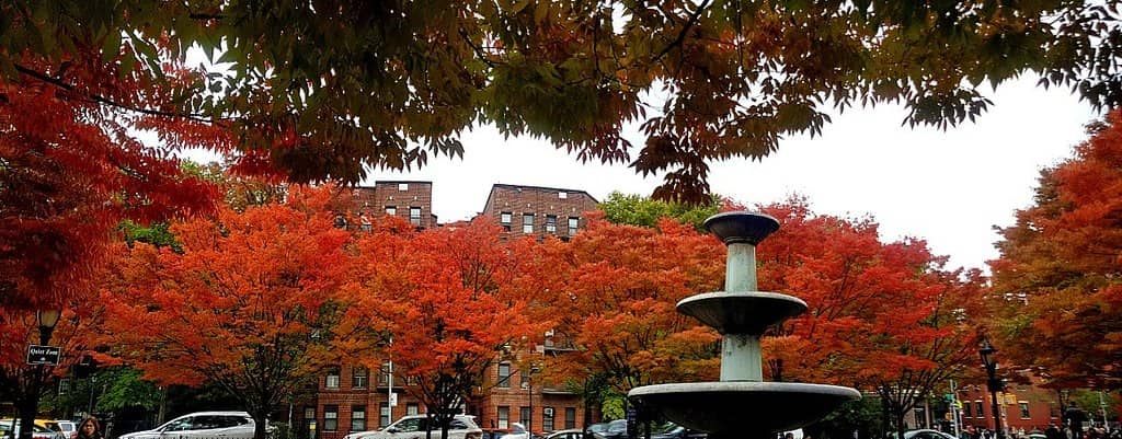 Bleecker Street Boutiques