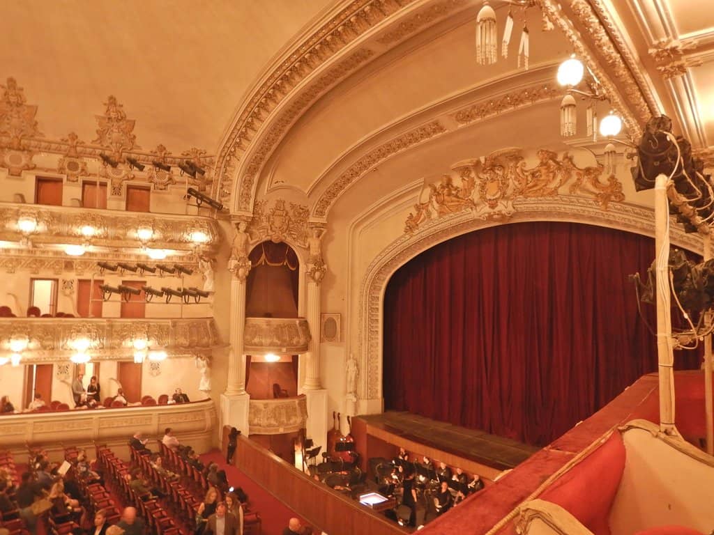 Elegant Interior & Acoustics