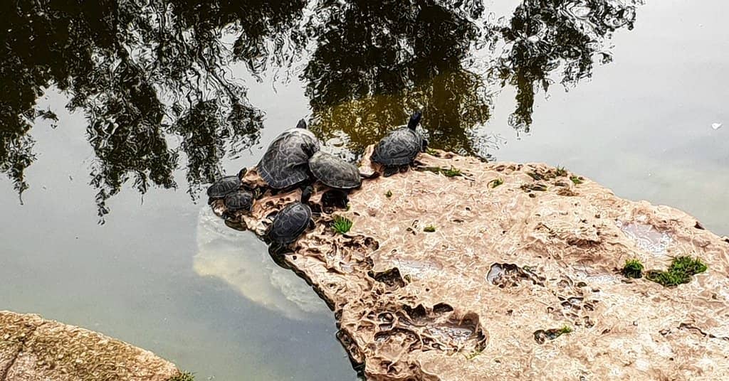 Playground and Sports Areas