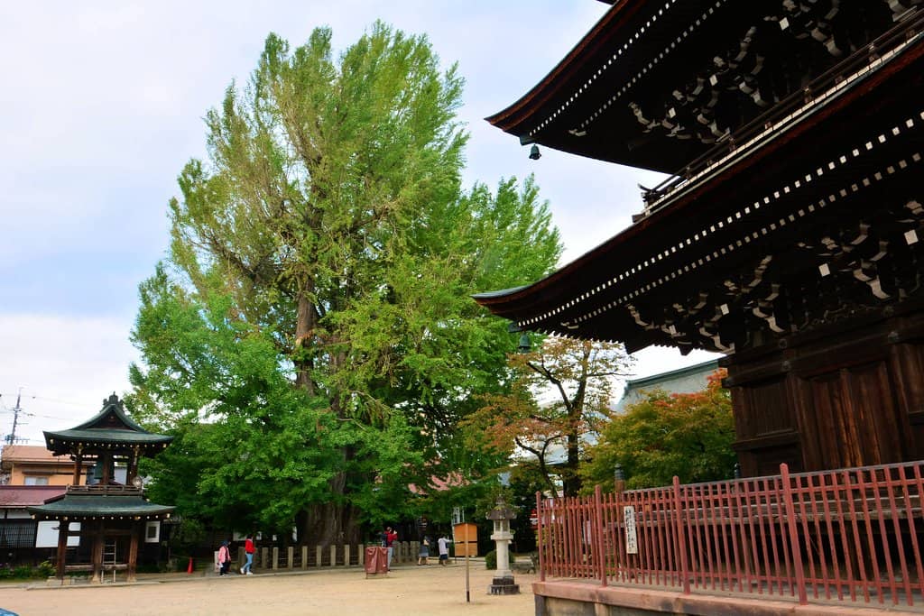 The Magnificent Five-Story Pagoda