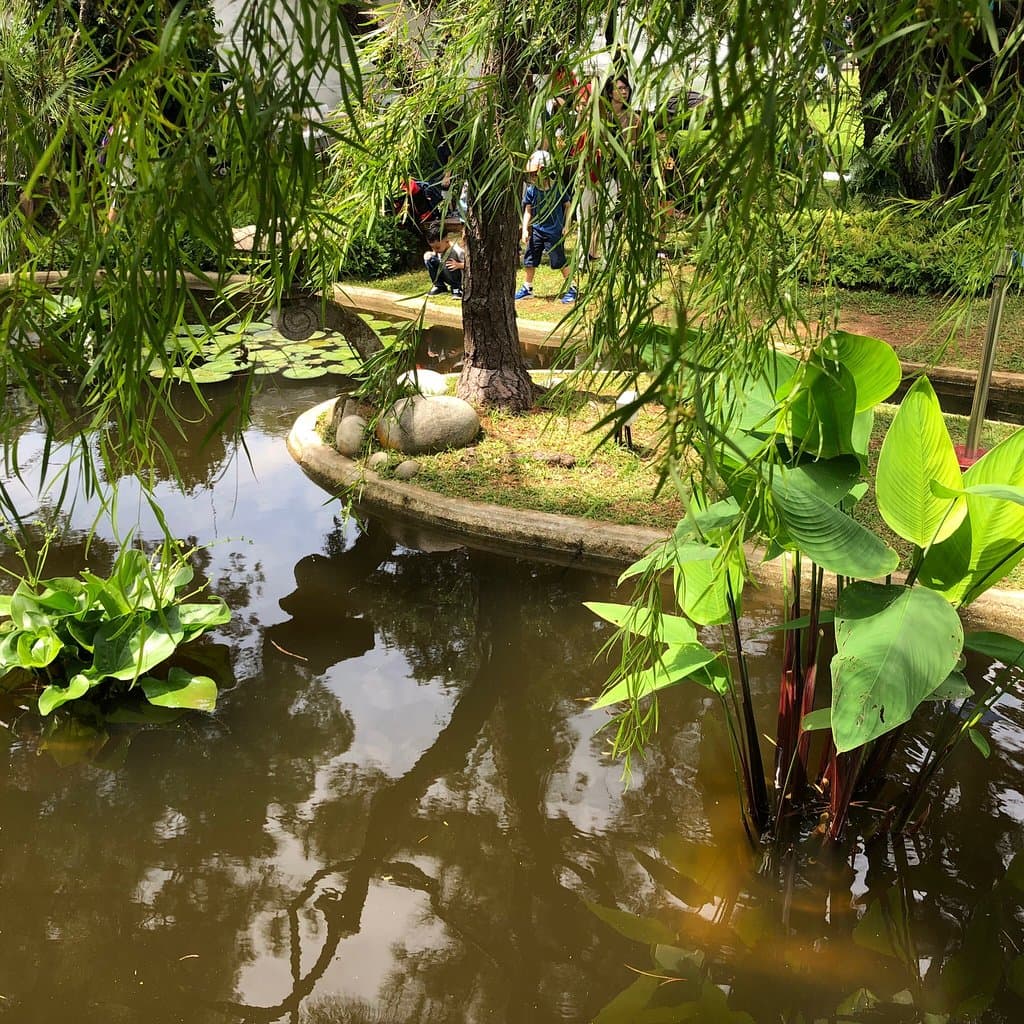 Dayout at Istana Park - sunny and fine!