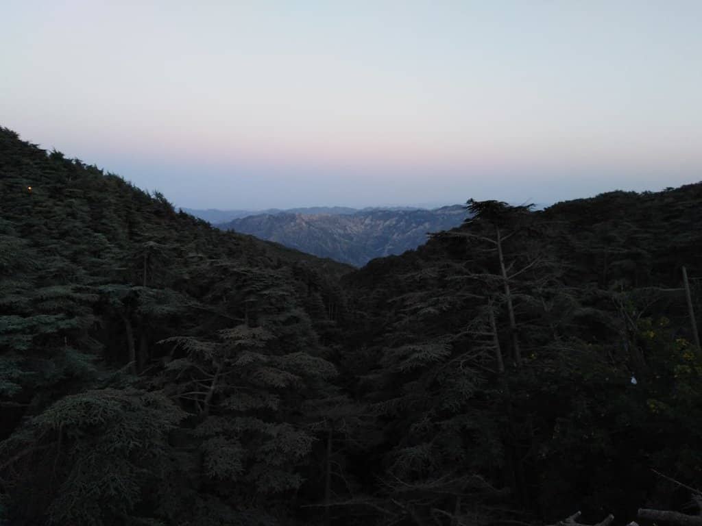 Hiking Trails & Atlas Cedars